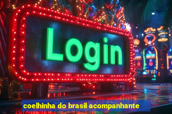 coelhinha do brasil acompanhante